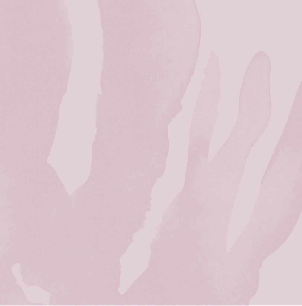 Fieri di offrirti una skincare efficace, responsabile e inclusiva